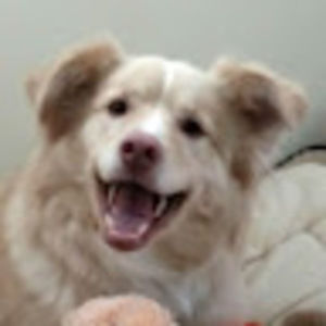 Meet your Posher, Marcia